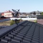 IMG_0186_1